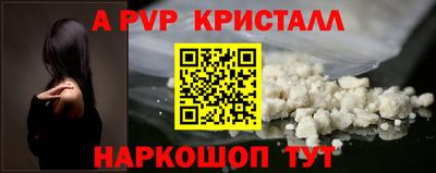 стаф Моздок