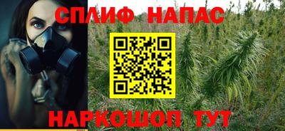 стаф Моздок