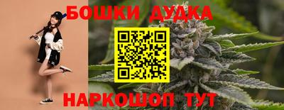 стаф Моздок