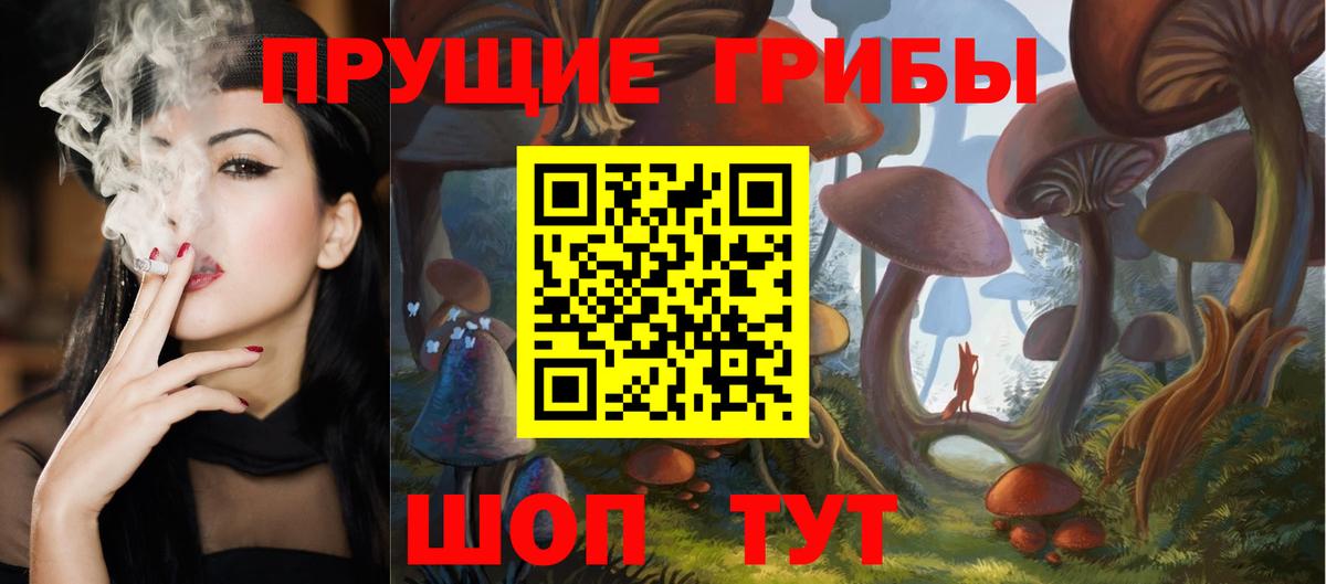 Удомля  Псилоцибиновые грибы Cubensis  Вход с VPN 